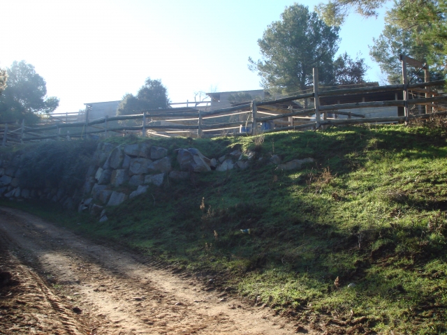  Paddock Area 